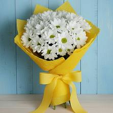 Букет цветов из:  Хризантемы в Солуно-Дмитриевском