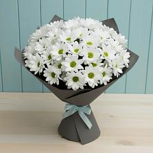 Букет цветов из:  Хризантемы #REPLACE_PRED# Солуно-Дмитриевском